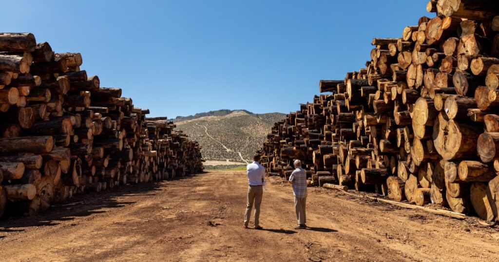 Trump tariffs are the latest inflationary pressure for American timber