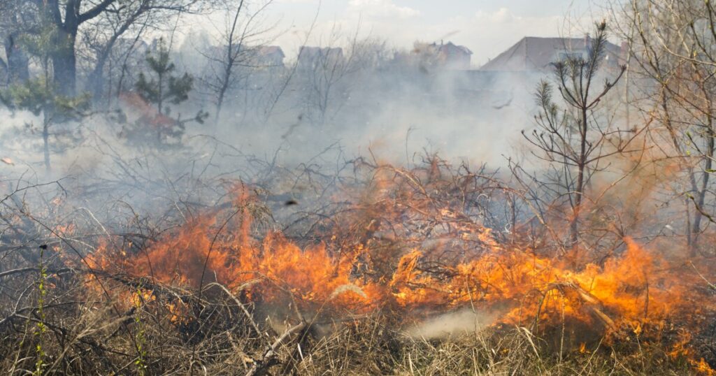 Cotality: 2.6 million houses at Wildfire Risk in West -VS