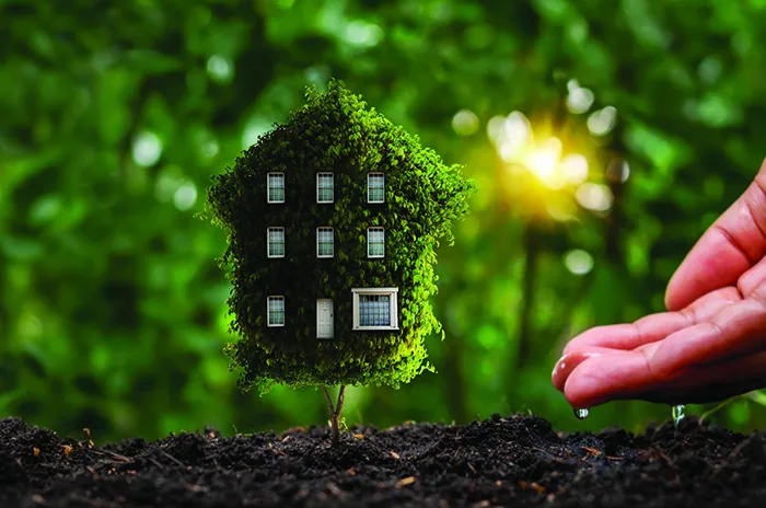 Cover feature: Tending the greens Cover feature: Tending the greens